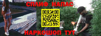ПСИЛОЦИБИНОВЫЕ ГРИБЫ Жуковский