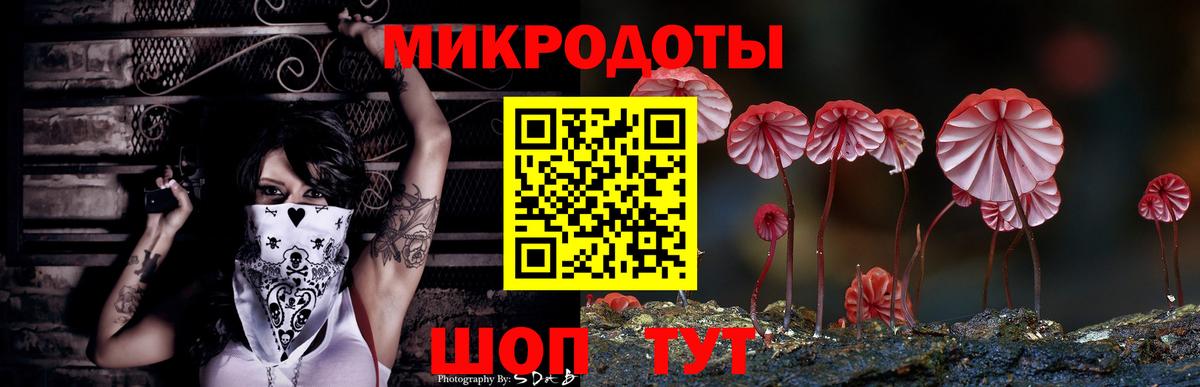 Галлюциногенные грибы Psilocybe  Вход с VPN  Миасс  Галлюциногенные грибы прущие грибы 